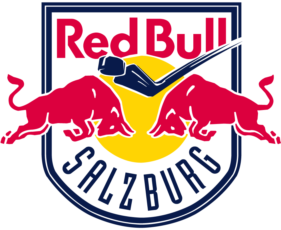 Red Bull Salzburg 2013-Pres Primary Logo iron on transfers for T-shirts